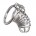 BDSM / Cages Chastity Ring